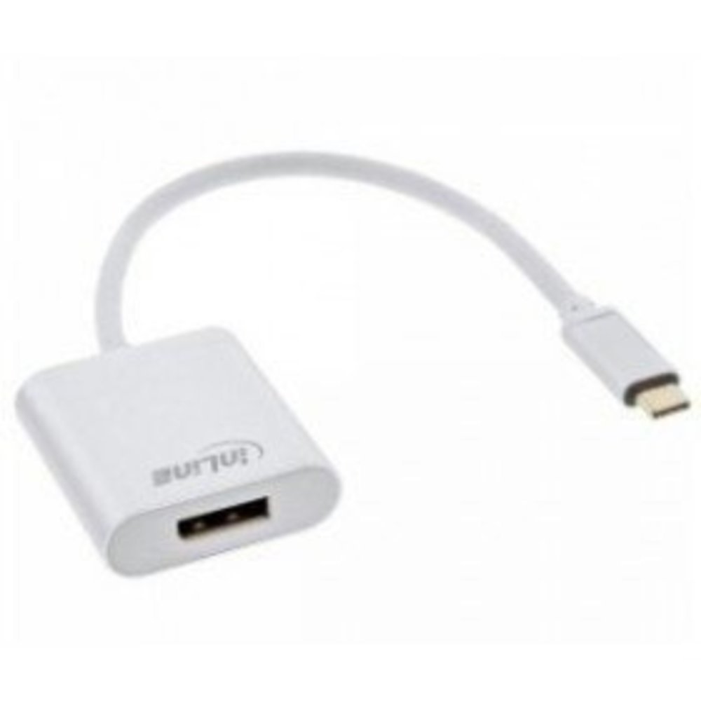 InLine® USB Display Konverter USB-C Stecker zu DisplayPort Buchse (DP Alt Mode) 4K2K silber 0.2m