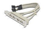 ASSMANN USB Slotblechkabel 4x Typ A - 2x10pin IDC Bu/Bu 0.25m USB 2.0 kompatibel be