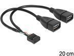 Delock USB Kabel - Pinheader 10Pin zu 2x A Stecker, 0.20m, Bu/Bu - 